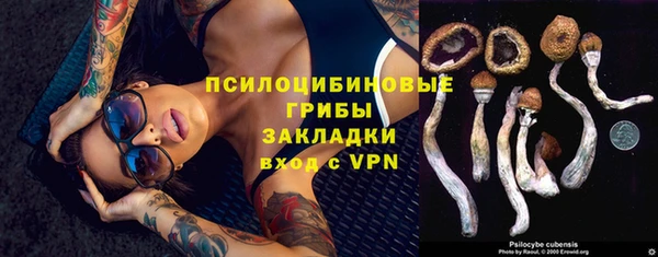 дживик Арсеньев