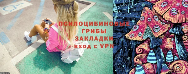 PSILOCYBIN Армянск
