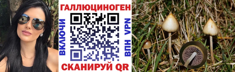 Псилоцибиновые грибы Magic Shrooms Козьмодемьянск